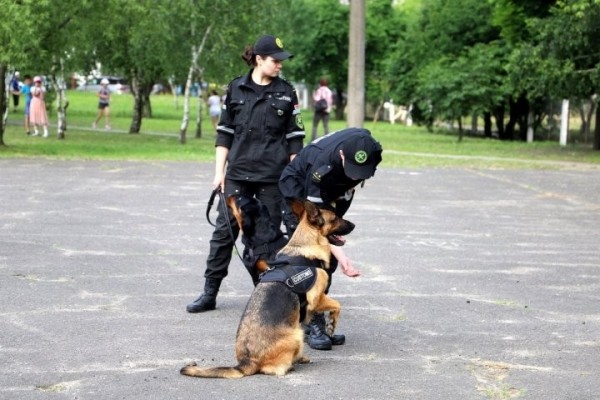 Кинологи Брестской таможни в нынешнем году пресекли 29 попыток перемещения наркотиков и психотропов Кинологи Брестской таможни в нынешнем году пресекли 29 попыток перемещения наркотиков и психотропов