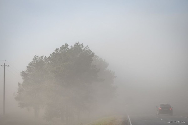 Буря в пустыне: как Полесье зарастает барханами