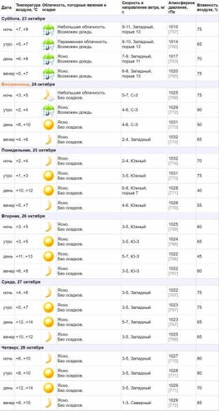 В Бресте и области объявлен оранжевый уровень из-за сильного ветра