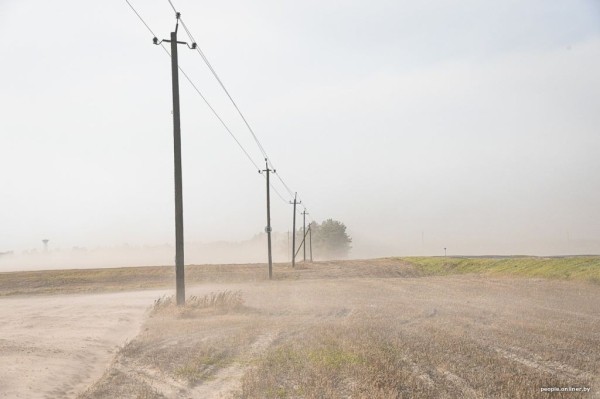 Буря в пустыне: как Полесье зарастает барханами