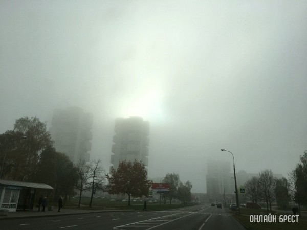 Жителей Бреста предупреждают о сильных порывах ветра 5 ноября Жителей Бреста предупреждают о сильных порывах ветра 5 ноября