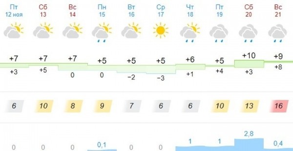 В Брестской области и Бресте объявлен оранжевый уровень из-за тумана В Брестской области и Бресте объявлен оранжевый уровень из-за тумана