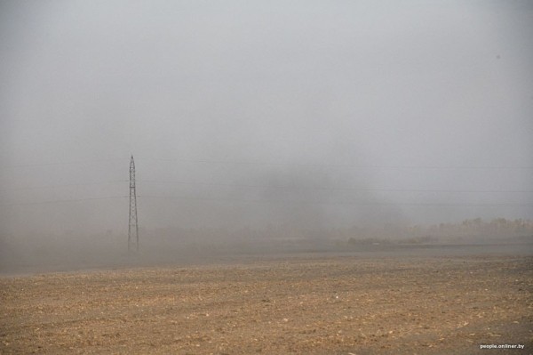 Буря в пустыне: как Полесье зарастает барханами