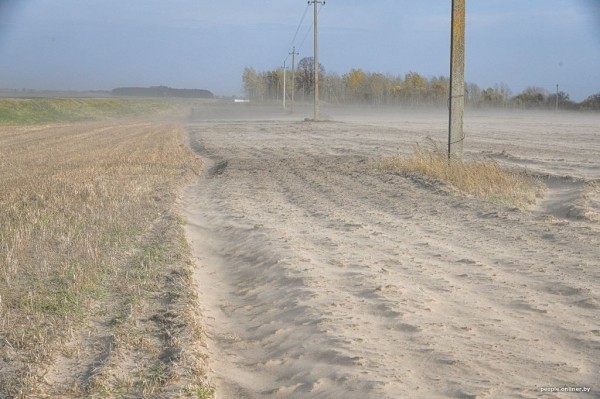 Буря в пустыне: как Полесье зарастает барханами