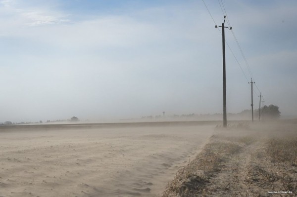 Буря в пустыне: как Полесье зарастает барханами