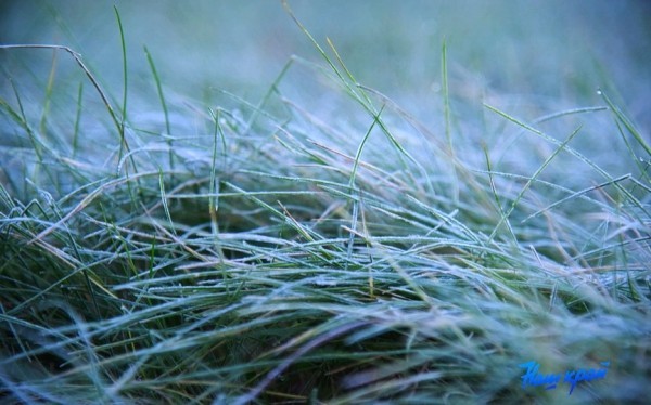 Морозная ночь ожидается 17 ноября