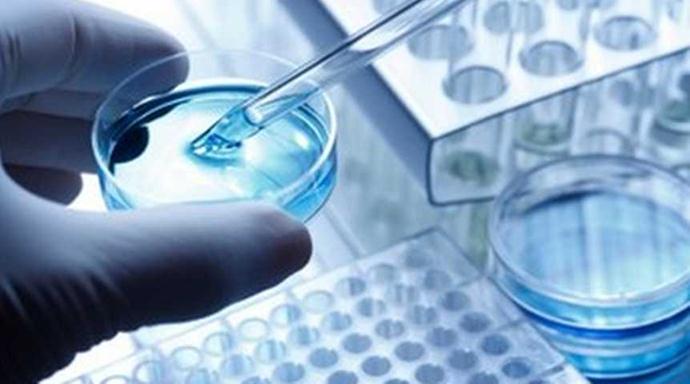 Более 40 тысяч экспертиз проведено в Гомельской области за год