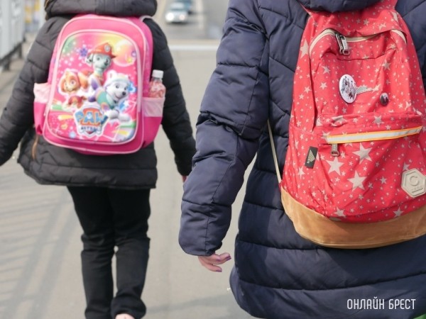 В Столинском районе к сельской школе пристроят блок начальных классов