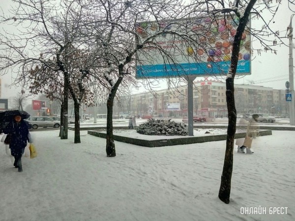 Введен оранжевый уровень: готовимся к сильному ветру и гололедице Введен оранжевый уровень: готовимся к сильному ветру и гололедице