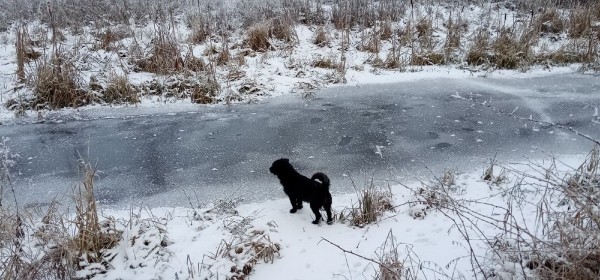 20 февраля: какой сегодня праздник, что можно, а что нельзя делать в этот день 20 февраля: какой сегодня праздник, что можно, а что нельзя делать в этот день