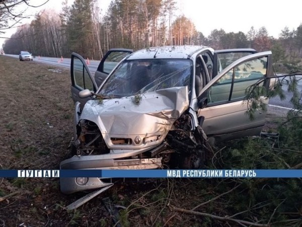 29-летний житель Брестчины врезался в дерево. Есть пострадавшие