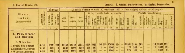 100 лет назад в малоэтажном Бресте в каждом доме жило в среднем 16 человек