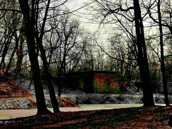 Встретились зима и весна. В парке в Высоком можно застать обе поры года (Брестская область)