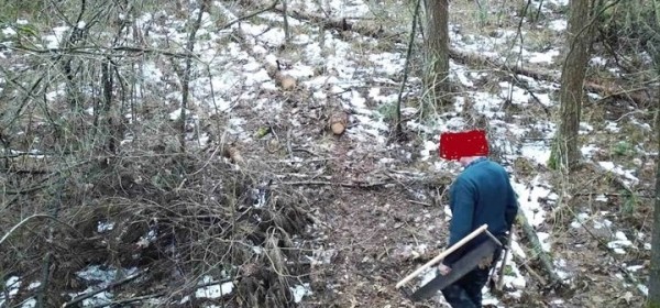 Под Лунинцем шла незаконная рубка леса Под Лунинцем шла незаконная рубка леса