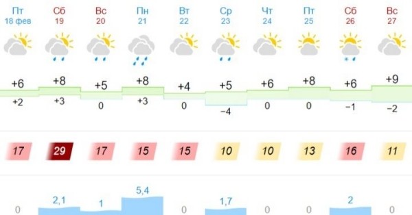 Штормовое предупреждение объявлено в Брестской области и Бресте 19 февраля