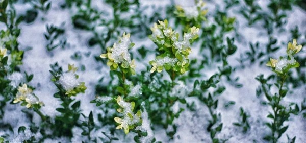 Какой будет погода в последний день зимы Какой будет погода в последний день зимы