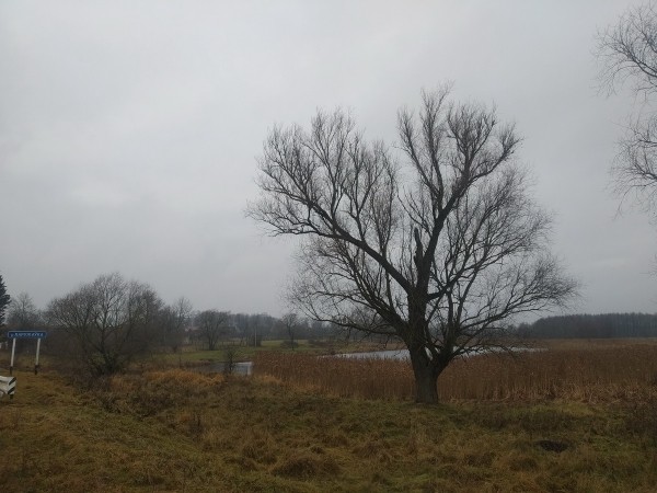 Путешествие одного дня: местечко храмов, менявших конфессии – что посмотреть и чему удивиться в Изабелине