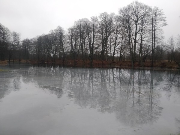 Путешествие одного дня: Остатки величия шляхетного рода Стравинских – что посмотреть и чему удивится в Накрышках и окрестностях Путешествие одного дня: Остатки величия шляхетного рода Стравинских – что посмотреть и чему удивится в Накрышках и окрестностях