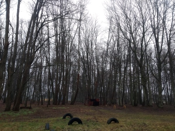 Путешествие одного дня: Остатки величия шляхетного рода Стравинских – что посмотреть и чему удивится в Накрышках и окрестностях Путешествие одного дня: Остатки величия шляхетного рода Стравинских – что посмотреть и чему удивится в Накрышках и окрестностях