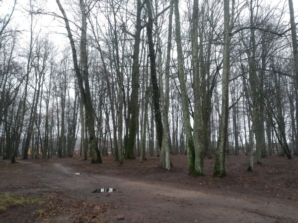 Путешествие одного дня: Остатки величия шляхетного рода Стравинских – что посмотреть и чему удивится в Накрышках и окрестностях Путешествие одного дня: Остатки величия шляхетного рода Стравинских – что посмотреть и чему удивится в Накрышках и окрестностях