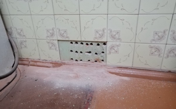 В Барановичах кошка провалилась в вентиляцию. Ее достали спасатели