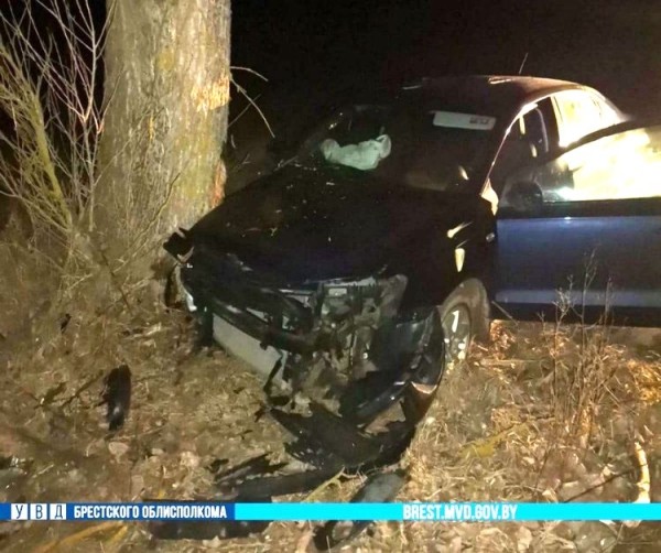 Водитель из Барановичей не справился с управлением, вылетел с трассы и врезался в дерево Водитель из Барановичей не справился с управлением, вылетел с трассы и врезался в дерево