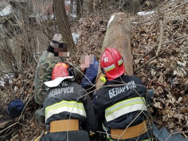 В Мозыре на мужчину упало дерево. Фото и видео В Мозыре на мужчину упало дерево. Фото и видео