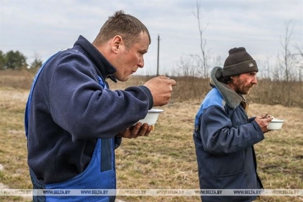 Большой репортаж с посевной в Кобринском районе