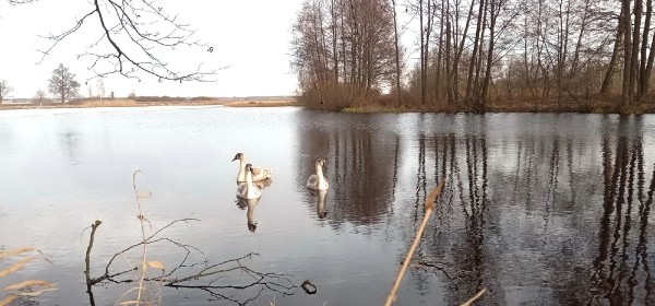 17 марта 2022 года: какой сегодня праздник, что можно, а что нельзя делать в этот день 17 марта 2022 года: какой сегодня праздник, что можно, а что нельзя делать в этот день