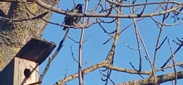 19 марта 2022 года: какой сегодня праздник, что можно, а что нельзя делать в этот день 19 марта 2022 года: какой сегодня праздник, что можно, а что нельзя делать в этот день