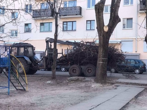 В Бресте завершаются работы по удалению и обрезке деревьев и кустарников
