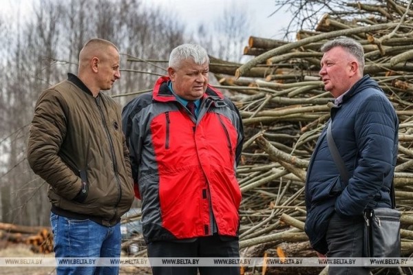 Большой репортаж с посевной в Кобринском районе