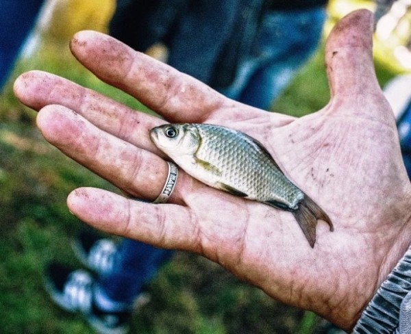 Житель Брестской области нарыбачил на уголовную статью