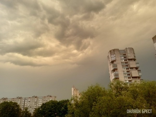 МЧС предупредило об усилении ветра в Беларуси 17 и 18 января