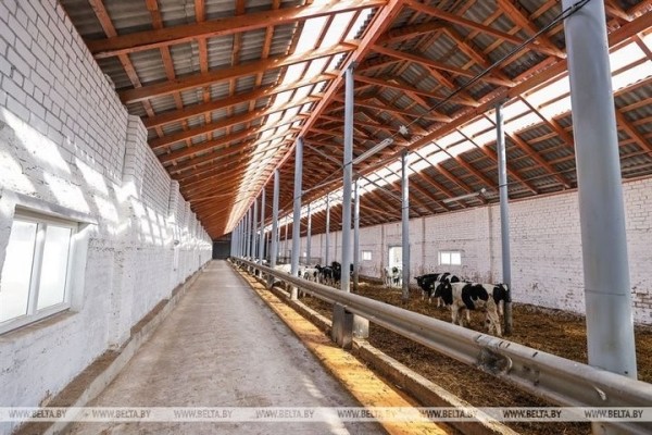 Большой репортаж с посевной в Кобринском районе