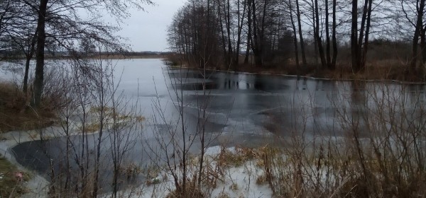 5 марта 2022 года: какой сегодня праздник, что можно, а что нельзя делать в этот день