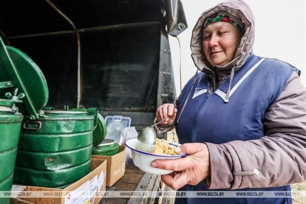 Большой репортаж с посевной в Кобринском районе