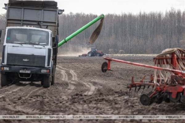 Большой репортаж с посевной в Кобринском районе