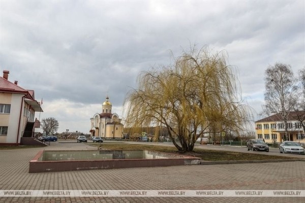 Большой репортаж с посевной в Кобринском районе