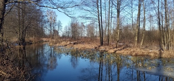 7 марта 2022 года: какой сегодня праздник, что можно, а что нельзя делать в этот день