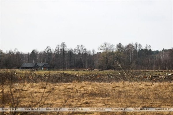 Большой репортаж с посевной в Кобринском районе