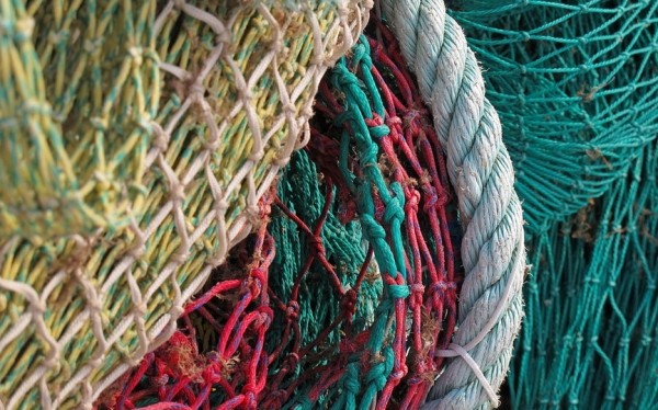 80 кг рыбы во время нереста незаконно выловили браконьеры в Барановичском районе 80 кг рыбы во время нереста незаконно выловили браконьеры в Барановичском районе