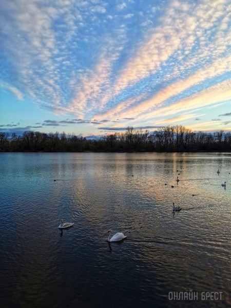 Читатель: Красивое окончание праздничного дня, 8 марта. Брест, Набережная
             
                Читатель: Красивое окончание праздничного дня, 8 марта. Брест, Набережная