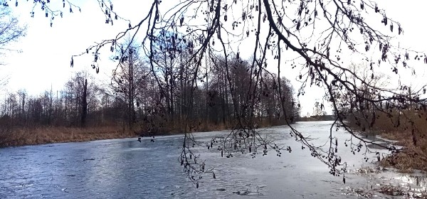 9 марта 2022 года: какой сегодня праздник, что можно, а что нельзя делать в этот день 9 марта 2022 года: какой сегодня праздник, что можно, а что нельзя делать в этот день