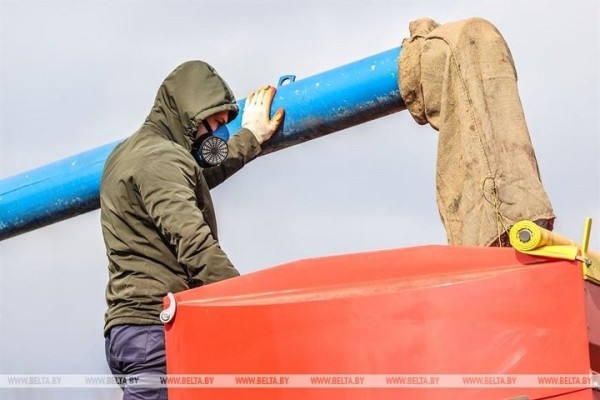 Большой репортаж с посевной в Кобринском районе
