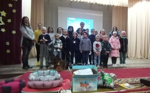 «Целую машину загрузили»: жители Жемчужного собрали помощь для бездомных животных «Целую машину загрузили»: жители Жемчужного собрали помощь для бездомных животных