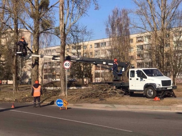 В Бресте завершаются работы по удалению и обрезке деревьев и кустарников