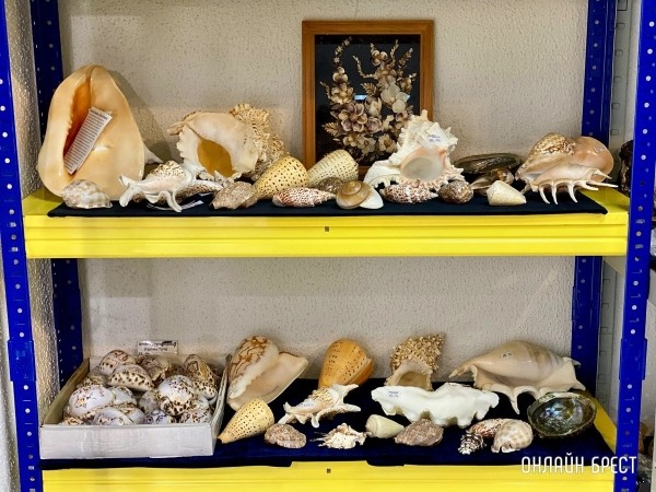 Экспозиция, которая вас удивит! Большой фоторепортаж с выставки «В мире самоцветов» в Бресте, посвященной эксклюзивным украшениям