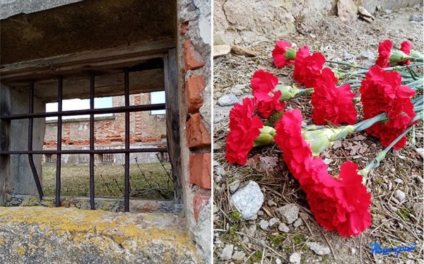   Бесплатные экскурсии по территории бывшего Колдычевского лагеря смерти предлагают библиотекари Барановичского района