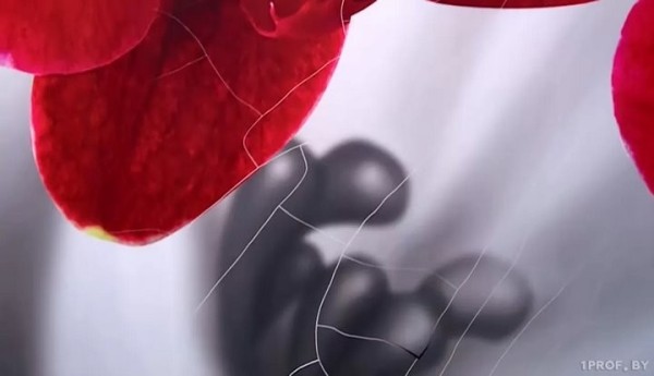 Адская кухня. Как покупка обернулась для семьи из Бреста массой проблем Адская кухня. Как покупка обернулась для семьи из Бреста массой проблем